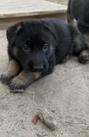 processed/77601447-d180-4ce5-9743-0043a851a74a/listing/fd8fa883-38fd-413b-8f8b-05de2bb08015/f7bed353-0e6f-4d3c-ace3-1f7776d3dbd4