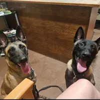 processed/7763e90b-cba2-4813-9057-8c73947c3439/facility/0db54f3a-2a20-4696-9ca8-ea0889cf2ca7