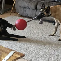 processed/7763e90b-cba2-4813-9057-8c73947c3439/facility/2ec786ba-c5c4-431c-9dbc-523659538b04