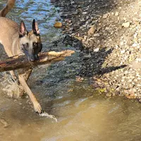 processed/7763e90b-cba2-4813-9057-8c73947c3439/facility/4ba74092-8a4e-40d3-bbc7-0bdc6ec54da0