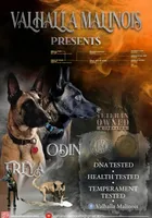 processed/7763e90b-cba2-4813-9057-8c73947c3439/facility/92017a2a-1744-4ee1-bff7-dbefb8504d7b