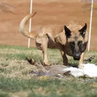 processed/7763e90b-cba2-4813-9057-8c73947c3439/facility/b7a0c4ef-0c40-42a2-9a55-453c367d39ab