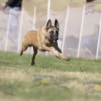 processed/7763e90b-cba2-4813-9057-8c73947c3439/facility/ce65f060-2e10-4011-8850-11bf38b2ec6f