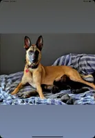 processed/7763e90b-cba2-4813-9057-8c73947c3439/facility/d5a712e2-3e8b-4c4b-a75a-080a13dacce0