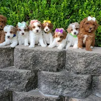 processed/7766c786-cc9f-4575-b51b-f28b547af895/facility/04815745-6c79-4b5e-89d2-a98663ad539b