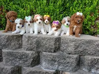 processed/7766c786-cc9f-4575-b51b-f28b547af895/facility/04815745-6c79-4b5e-89d2-a98663ad539b