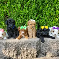 processed/7766c786-cc9f-4575-b51b-f28b547af895/facility/10f03c23-6358-4af4-a7e9-b7e6e7deae44