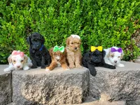 processed/7766c786-cc9f-4575-b51b-f28b547af895/facility/10f03c23-6358-4af4-a7e9-b7e6e7deae44