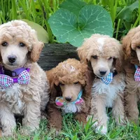 processed/7766c786-cc9f-4575-b51b-f28b547af895/facility/1abcb09b-817c-451c-8652-d1ea77c3999a