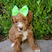 processed/7766c786-cc9f-4575-b51b-f28b547af895/facility/1e65e8fe-c8da-4501-9a1e-5e8bd631da51