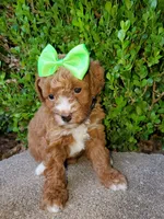 processed/7766c786-cc9f-4575-b51b-f28b547af895/facility/1e65e8fe-c8da-4501-9a1e-5e8bd631da51