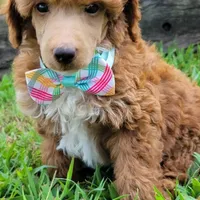 processed/7766c786-cc9f-4575-b51b-f28b547af895/facility/22c05a12-be8a-4735-aa81-7c7d4288bc18