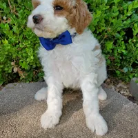 processed/7766c786-cc9f-4575-b51b-f28b547af895/facility/4cefa899-914e-4c7d-85f1-0627ba15a9fb