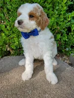 processed/7766c786-cc9f-4575-b51b-f28b547af895/facility/4cefa899-914e-4c7d-85f1-0627ba15a9fb