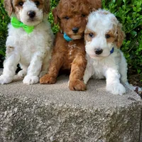 processed/7766c786-cc9f-4575-b51b-f28b547af895/facility/5aaace70-6385-42e6-b05b-a362a0abe51b