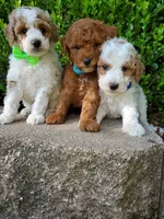 processed/7766c786-cc9f-4575-b51b-f28b547af895/facility/5aaace70-6385-42e6-b05b-a362a0abe51b