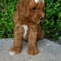 processed/7766c786-cc9f-4575-b51b-f28b547af895/facility/84c00ccb-71e6-469f-8caa-d8f01140be94