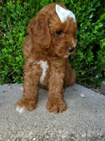 processed/7766c786-cc9f-4575-b51b-f28b547af895/facility/84c00ccb-71e6-469f-8caa-d8f01140be94