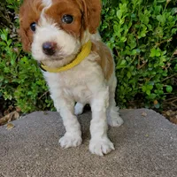 processed/7766c786-cc9f-4575-b51b-f28b547af895/facility/fd0811da-3be5-4bea-873c-e3e1926a21a7