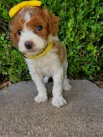 processed/7766c786-cc9f-4575-b51b-f28b547af895/facility/fd0811da-3be5-4bea-873c-e3e1926a21a7