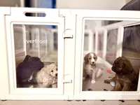 processed/777016b2-00ba-431c-beff-15bf760b3bed/facility/4d3c8346-a606-483d-893a-a440a8ec0032