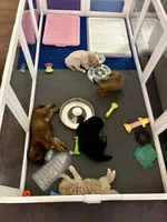 processed/777016b2-00ba-431c-beff-15bf760b3bed/facility/7f96cbcc-a26b-47b2-b876-854342f35936