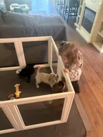 processed/777016b2-00ba-431c-beff-15bf760b3bed/facility/e158ed5b-323f-4ee7-9e56-1a241c6317c2