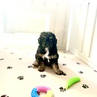 processed/777016b2-00ba-431c-beff-15bf760b3bed/listing/4767cbb6-d924-4319-b4bf-a554d387ef93/2e5f6596-fbbf-4d30-8f8a-509bb3657873