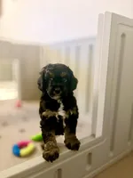 processed/777016b2-00ba-431c-beff-15bf760b3bed/listing/4767cbb6-d924-4319-b4bf-a554d387ef93/5a3dfbeb-c7d9-494b-b4fa-64fa4824587d