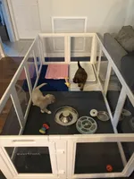 processed/777016b2-00ba-431c-beff-15bf760b3bed/listing/4767cbb6-d924-4319-b4bf-a554d387ef93/9cf2d697-d7bd-4fd6-aac1-283e9a92cf06