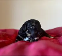 processed/777016b2-00ba-431c-beff-15bf760b3bed/listing/4767cbb6-d924-4319-b4bf-a554d387ef93/9e523229-014c-44cc-8831-51b24b3e490c