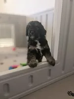 processed/777016b2-00ba-431c-beff-15bf760b3bed/listing/4767cbb6-d924-4319-b4bf-a554d387ef93/c2d3afd0-3c84-403d-9734-a089b5a2e01d