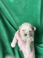 processed/7772ab00-c302-481e-bd8b-f39243a75bb2/listing/02d4a41d-e7a3-43f2-b6da-fdf055f5f41c/883e800c-82f6-437e-928e-276c3811efae