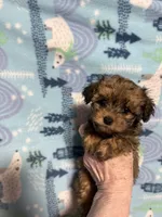 processed/7772ab00-c302-481e-bd8b-f39243a75bb2/listing/680744e2-5d04-41fd-ba1e-dd7ec86b7eb6/85bb5273-afb1-4a49-aa87-bcc9d2842856