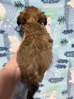 processed/7772ab00-c302-481e-bd8b-f39243a75bb2/listing/680744e2-5d04-41fd-ba1e-dd7ec86b7eb6/adba665e-b428-4844-bfdf-13dcbb8a73bf