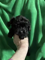 processed/7772ab00-c302-481e-bd8b-f39243a75bb2/listing/72cc025b-7af6-4090-96ad-42ec0538e536/49e09d5e-e2ae-464d-83d4-0fc64bdef890