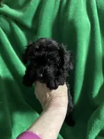 processed/7772ab00-c302-481e-bd8b-f39243a75bb2/listing/72cc025b-7af6-4090-96ad-42ec0538e536/c6c7d0bf-2a0b-403e-98fd-741cbdaa002a