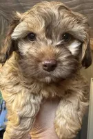 processed/77778a84-69d9-4ca5-b17b-6a2607cb091c/listing/537cee1a-1527-4ac9-960a-7478bda5e841/07a39028-32f2-4a7a-a47d-2696fbdf4bcb