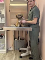 processed/77778a84-69d9-4ca5-b17b-6a2607cb091c/listing/537cee1a-1527-4ac9-960a-7478bda5e841/6ebeeeec-8382-4e05-9475-bc32d3b426b7