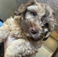 processed/77778a84-69d9-4ca5-b17b-6a2607cb091c/listing/537cee1a-1527-4ac9-960a-7478bda5e841/795ee912-a2c7-407a-91ce-1740f968982f