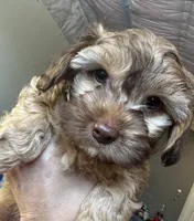 processed/77778a84-69d9-4ca5-b17b-6a2607cb091c/listing/537cee1a-1527-4ac9-960a-7478bda5e841/e6834ecb-b4e9-4904-b55b-19846c75d1fe