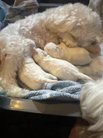 processed/77778a84-69d9-4ca5-b17b-6a2607cb091c/listing/e6b2b4d6-8ec7-4fb5-8243-769e34a6c340/5fb60fd1-f8ba-48bc-89e5-54659c066a52