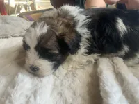 processed/777974d7-4480-4c0a-bbb9-260ea622124e/listing/11400d7c-e74e-4e34-96a7-8c52dd8db52b/b87a6407-e7be-4bfc-9cb0-8877acdfdaa0