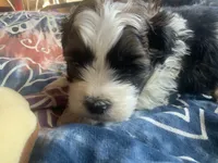 processed/777974d7-4480-4c0a-bbb9-260ea622124e/listing/11400d7c-e74e-4e34-96a7-8c52dd8db52b/cf4fb9d0-0c76-4e47-90a5-aa93a00eedc8