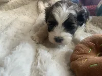 processed/777974d7-4480-4c0a-bbb9-260ea622124e/listing/11400d7c-e74e-4e34-96a7-8c52dd8db52b/fc714b8c-ac69-416b-be1b-3a8e6f5983ca