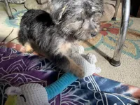 processed/777974d7-4480-4c0a-bbb9-260ea622124e/listing/214ddde5-8dd2-413f-acd3-9d819a109e69/2188a9ed-998c-4028-9705-9cbe755794ad