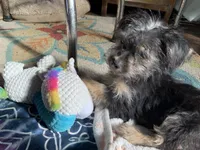 processed/777974d7-4480-4c0a-bbb9-260ea622124e/listing/214ddde5-8dd2-413f-acd3-9d819a109e69/bab9c5fe-c1b5-4dc7-8eb5-2e1c6eb7c3e6