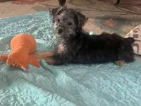 processed/777974d7-4480-4c0a-bbb9-260ea622124e/listing/214ddde5-8dd2-413f-acd3-9d819a109e69/f5d5fd49-79da-4bdb-9a31-1b2ebd0d8560