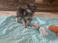 processed/777974d7-4480-4c0a-bbb9-260ea622124e/listing/214ddde5-8dd2-413f-acd3-9d819a109e69/ff514c32-2a08-4180-947d-afce84432846