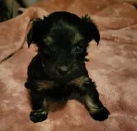 processed/777974d7-4480-4c0a-bbb9-260ea622124e/listing/644e851d-9b43-4f6a-8d39-2c5ae3b14b04/51b7d248-317f-4426-a03e-e9b28d1f7107